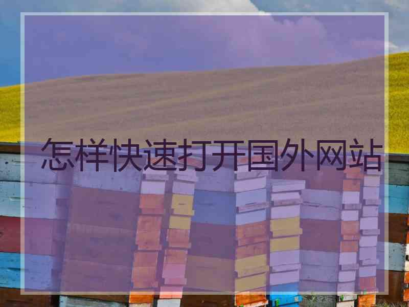 怎样快速打开国外网站