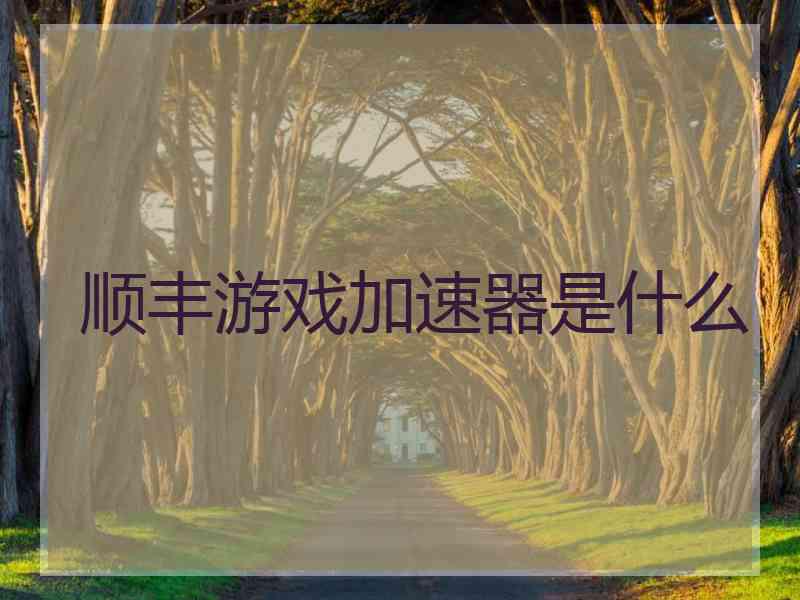 顺丰游戏加速器是什么