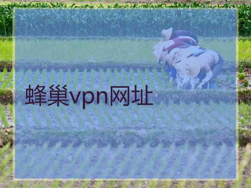 蜂巢vpn网址