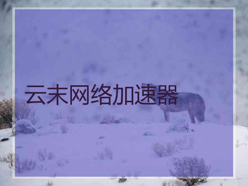 云末网络加速器