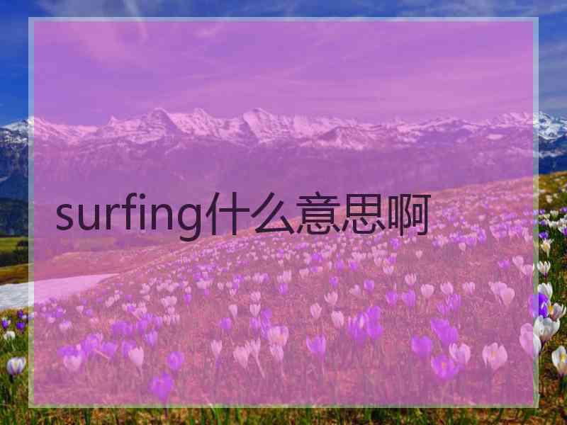 surfing什么意思啊