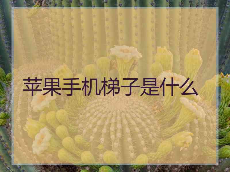 苹果手机梯子是什么