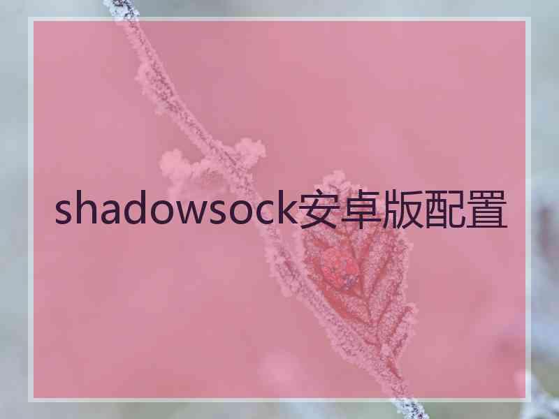 shadowsock安卓版配置