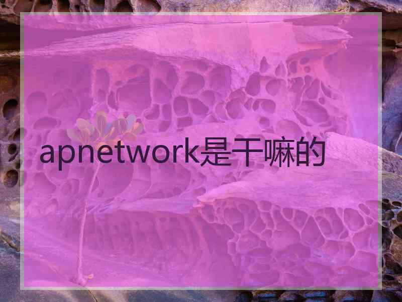 apnetwork是干嘛的