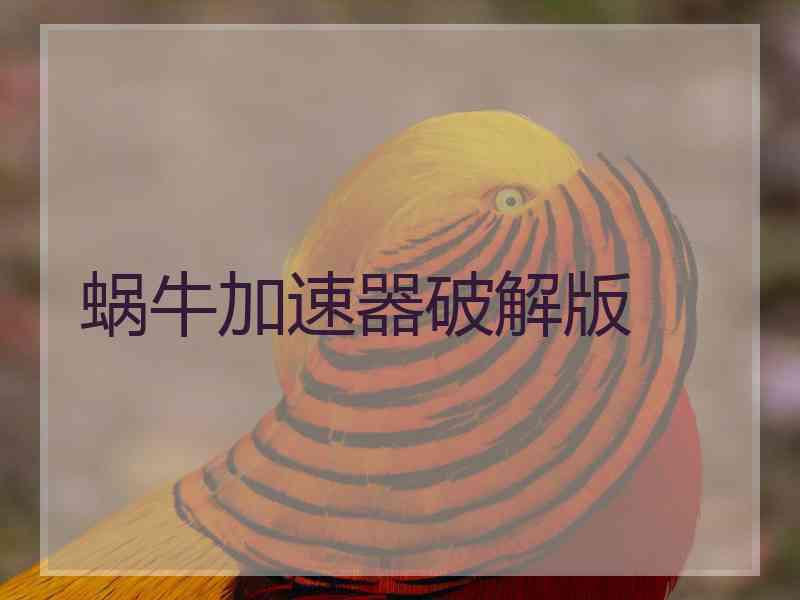 蜗牛加速器破解版