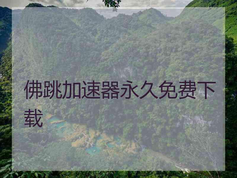 佛跳加速器永久免费下载