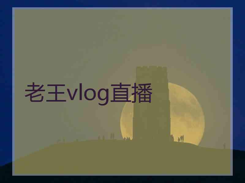 老王vlog直播