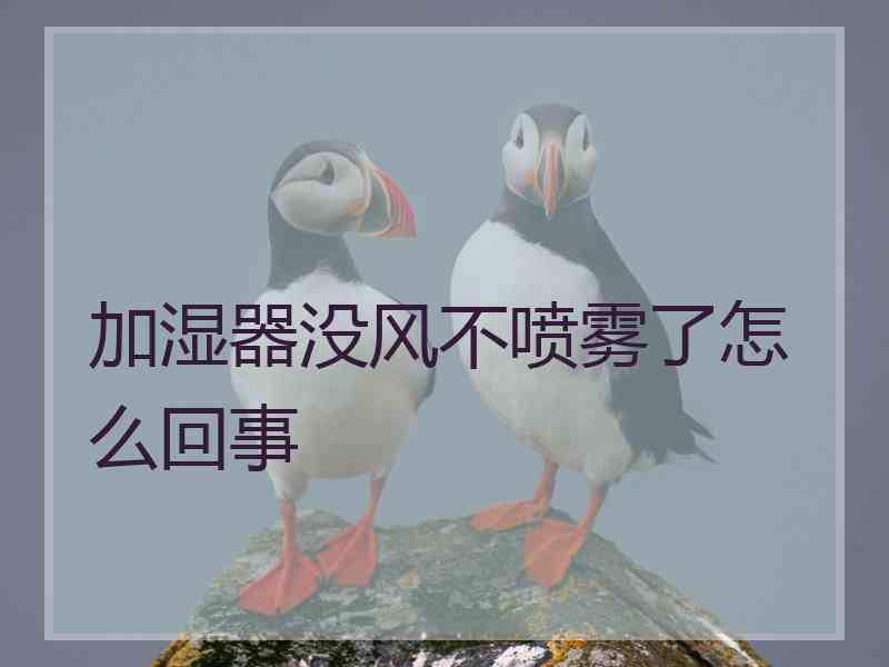 加湿器没风不喷雾了怎么回事