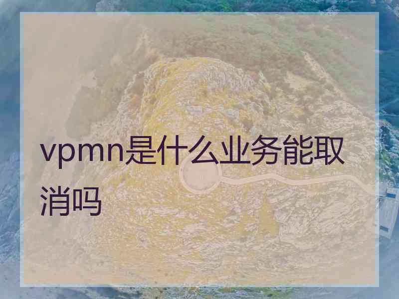 vpmn是什么业务能取消吗