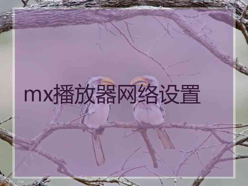 mx播放器网络设置