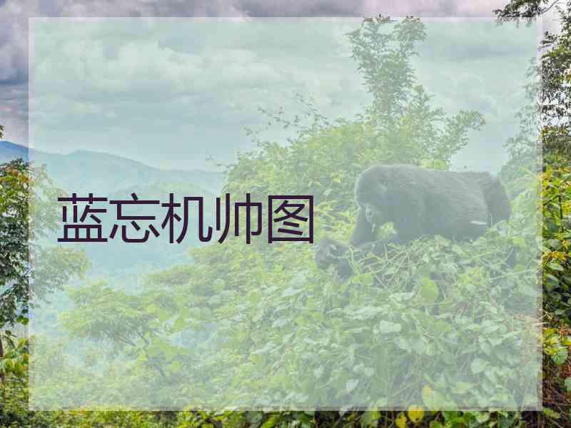 蓝忘机帅图