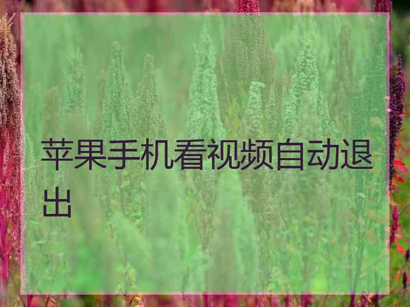 苹果手机看视频自动退出