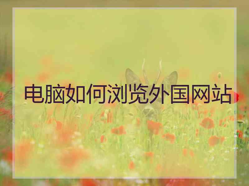 电脑如何浏览外国网站