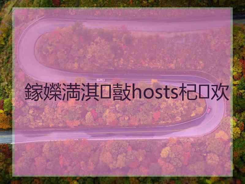 鎵嬫満淇敼hosts杞欢