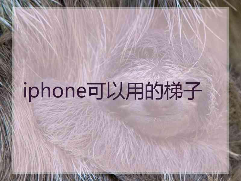 iphone可以用的梯子