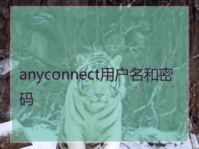 anyconnect用户名和密码