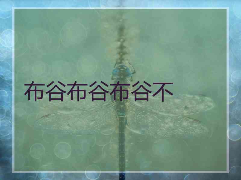 布谷布谷布谷不