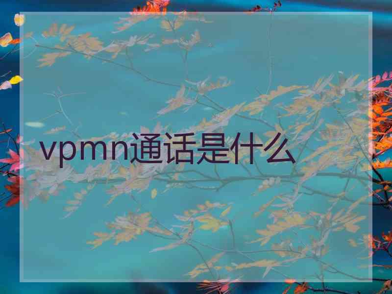 vpmn通话是什么