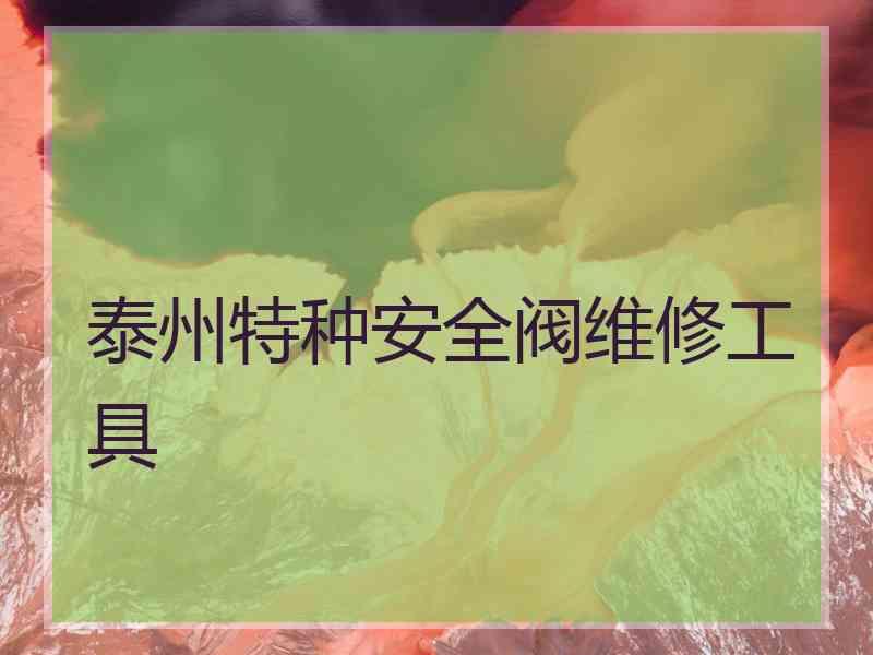 泰州特种安全阀维修工具