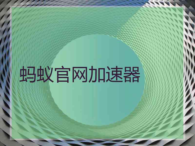 蚂蚁官网加速器