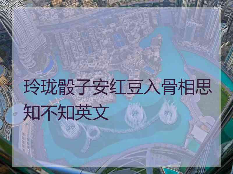 玲珑骰子安红豆入骨相思知不知英文