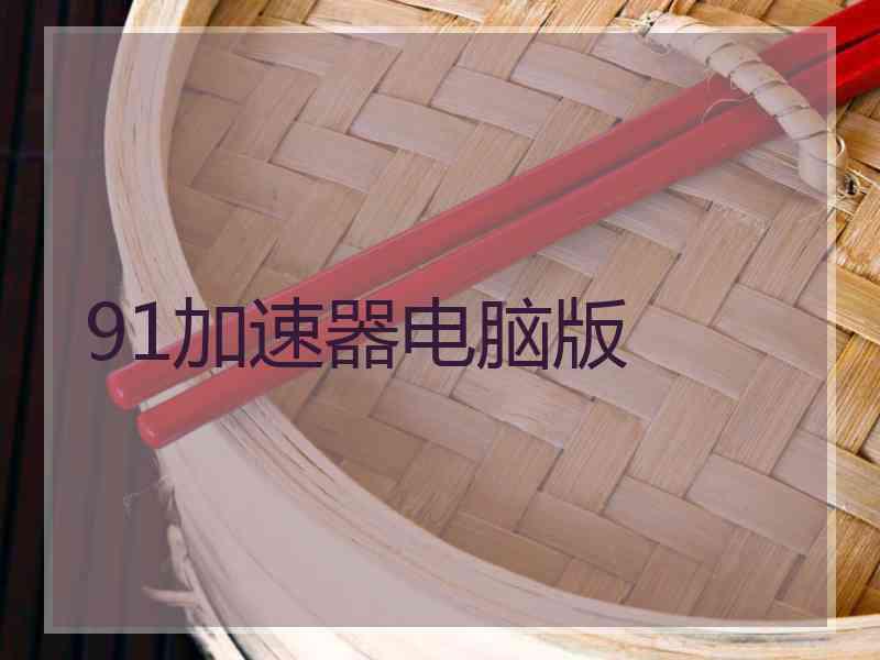 91加速器电脑版