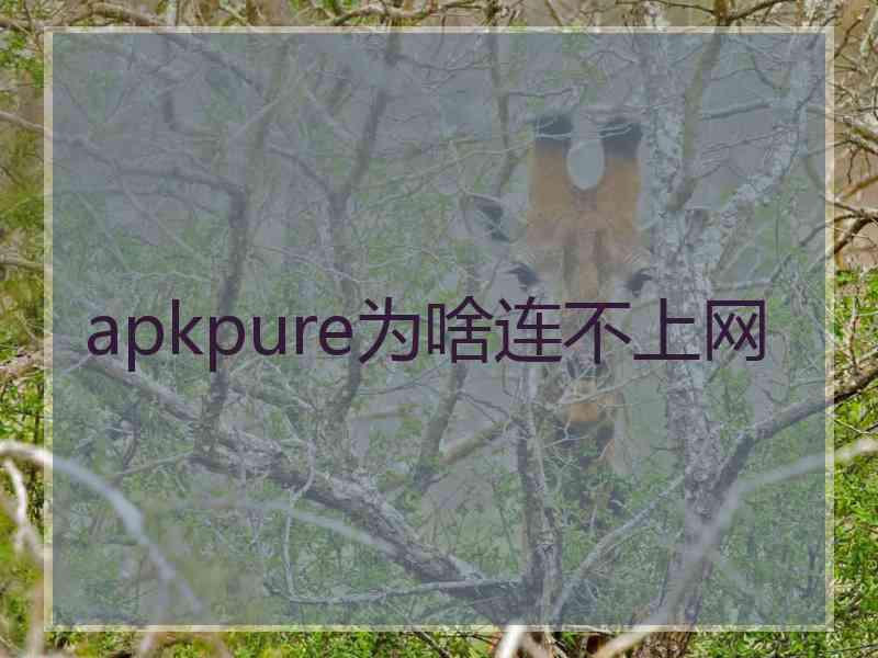 apkpure为啥连不上网