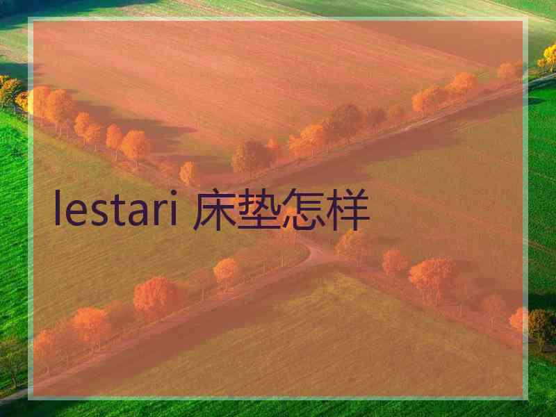 lestari 床垫怎样