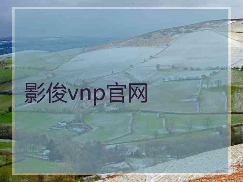 影俊vnp官网