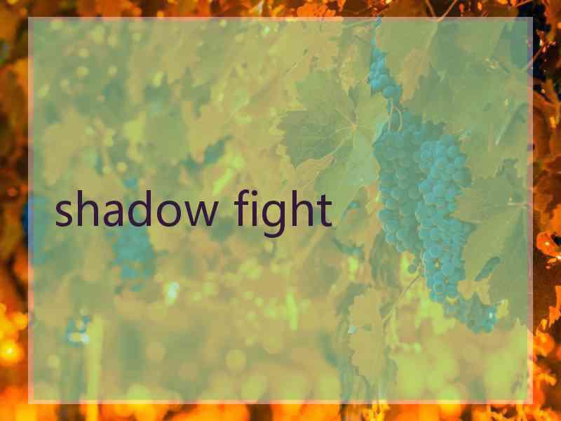 shadow fight