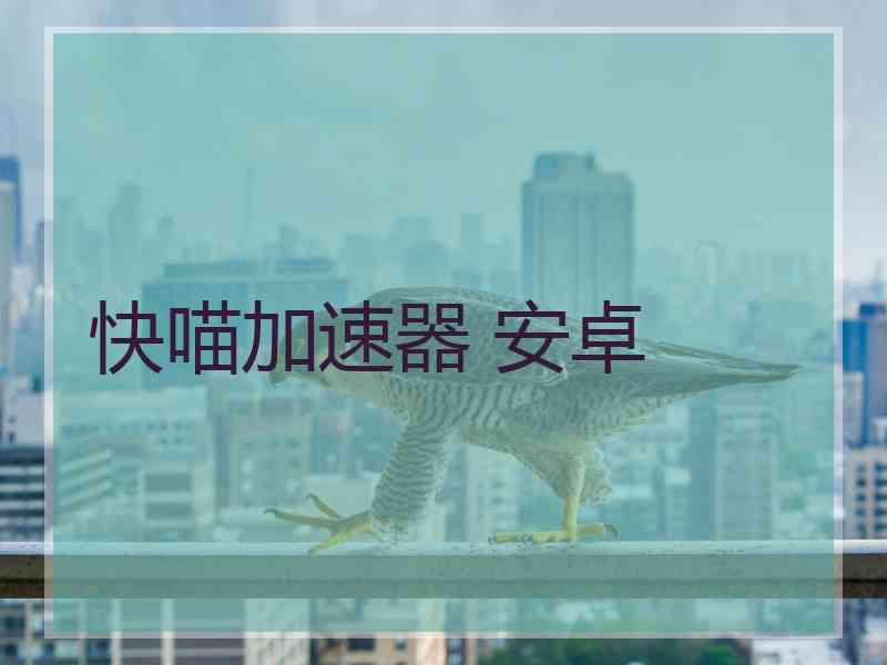 快喵加速器 安卓