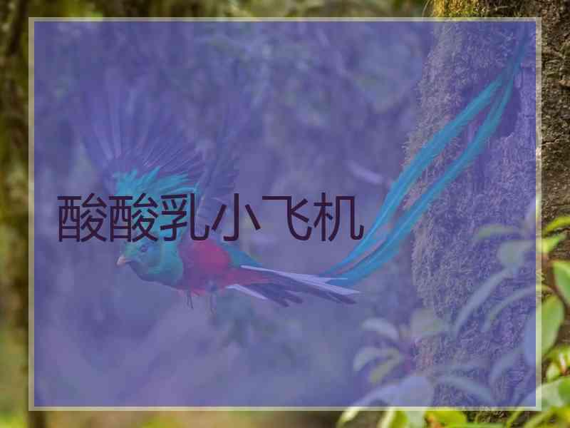 酸酸乳小飞机