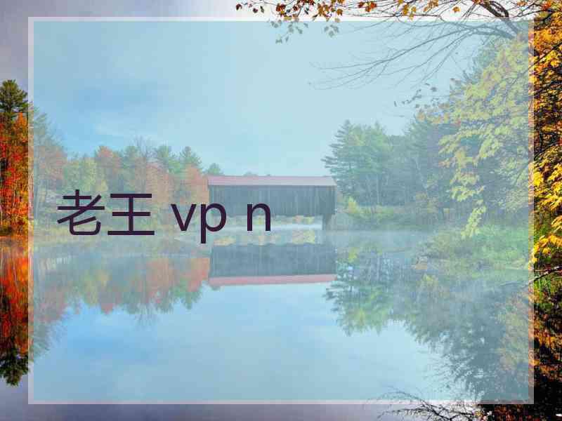 老王 vp n