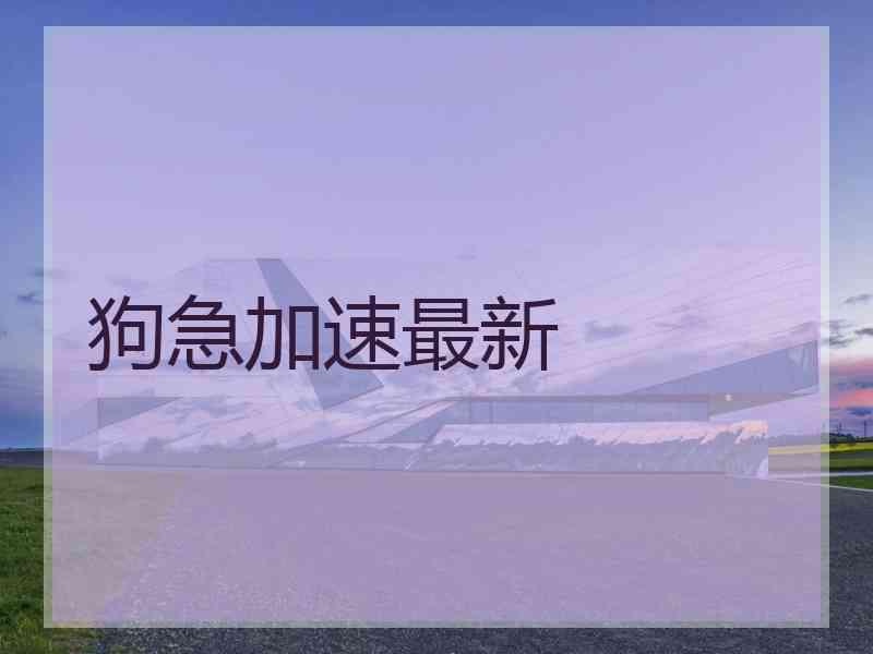 狗急加速最新