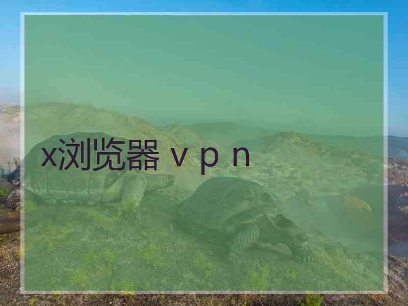 x浏览器 v p n