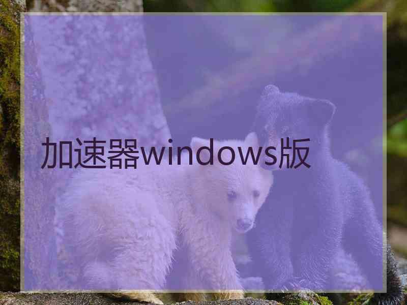 加速器windows版