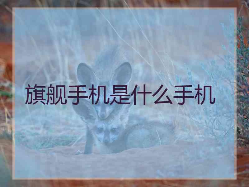 旗舰手机是什么手机