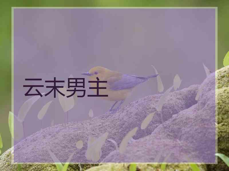 云末男主
