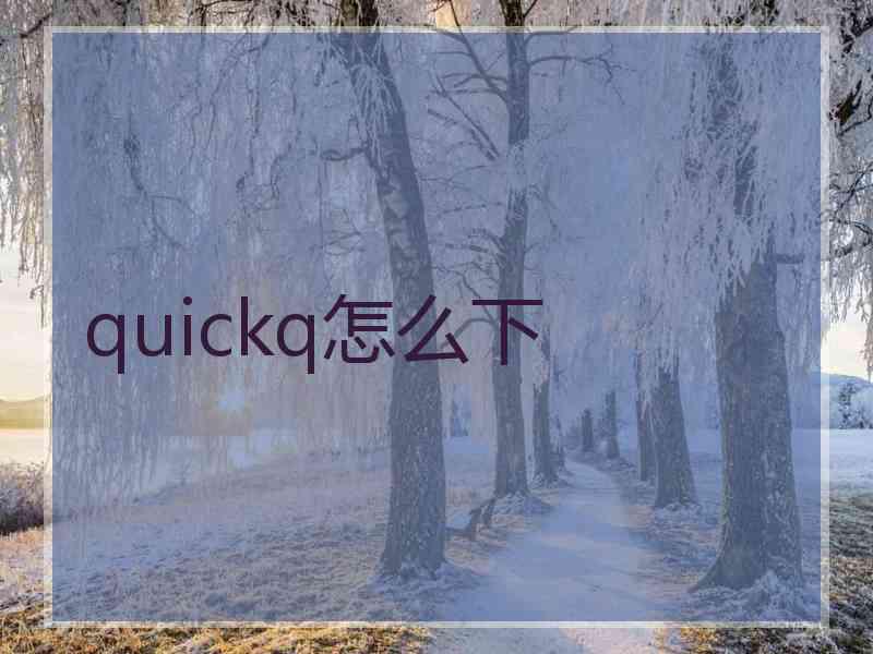 quickq怎么下