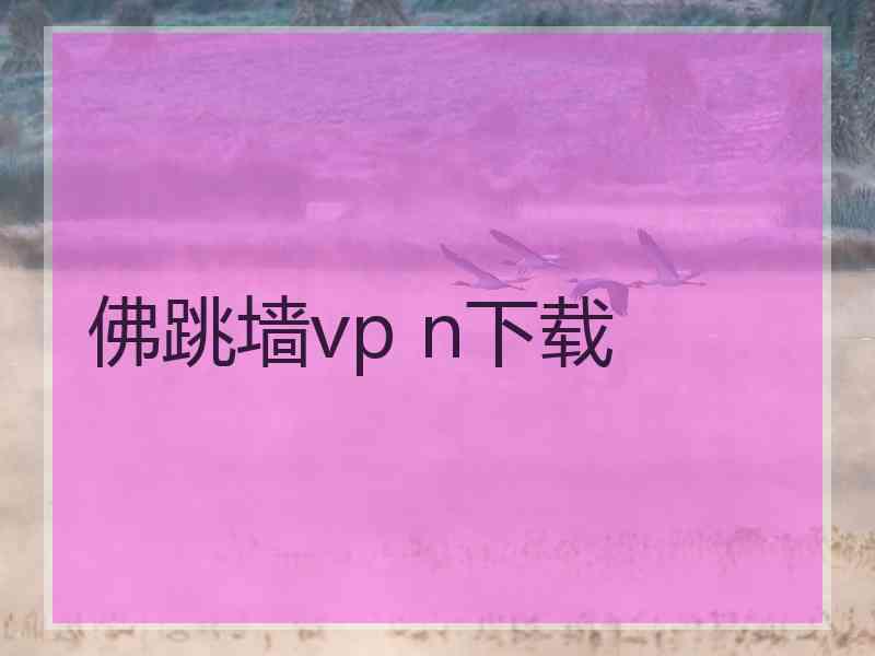 佛跳墙vp n下载