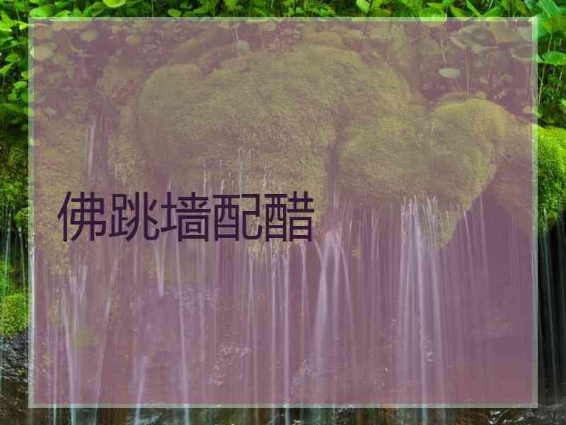 佛跳墙配醋