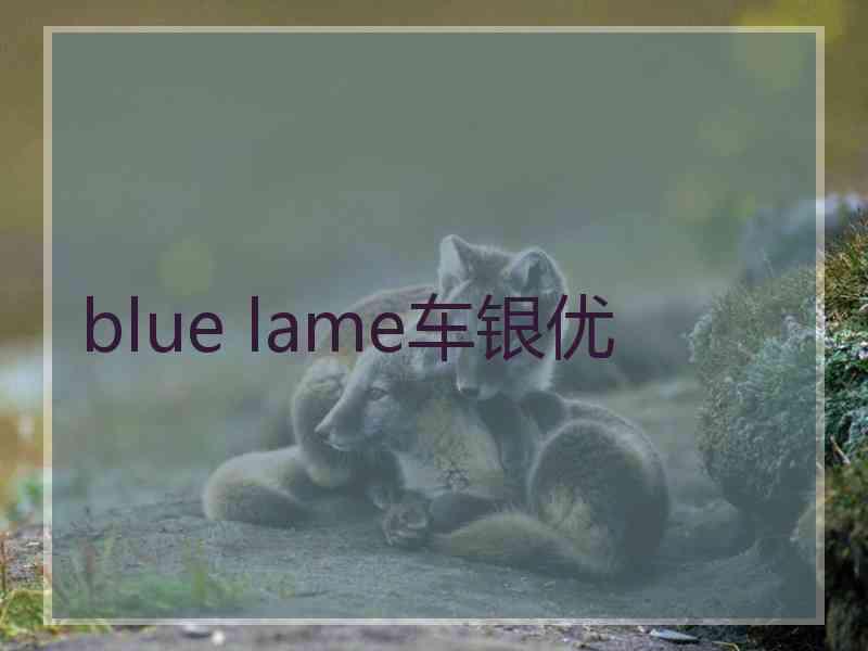 blue lame车银优
