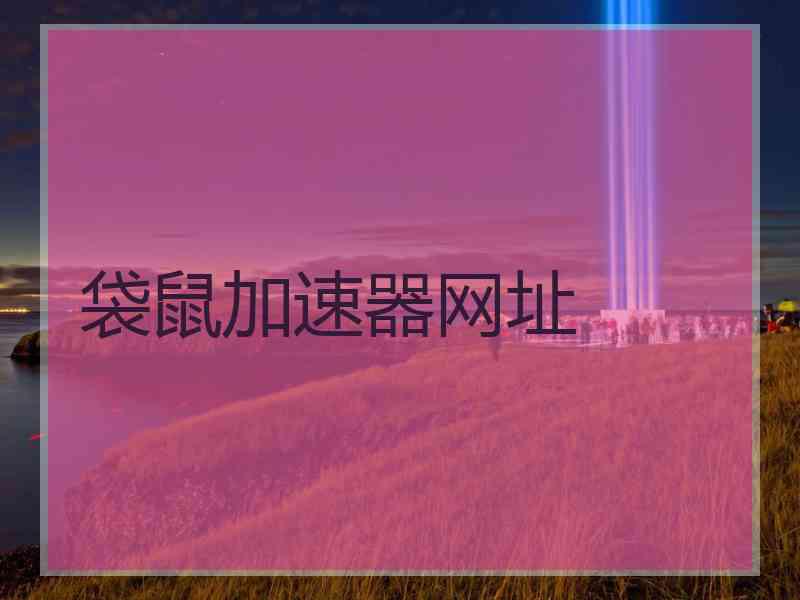 袋鼠加速器网址