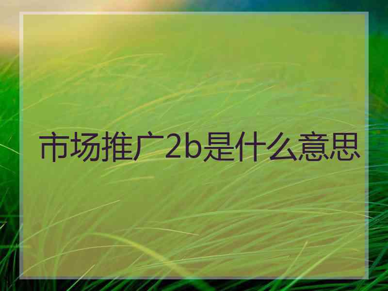 市场推广2b是什么意思