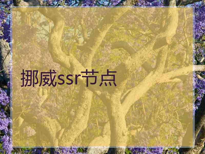 挪威ssr节点