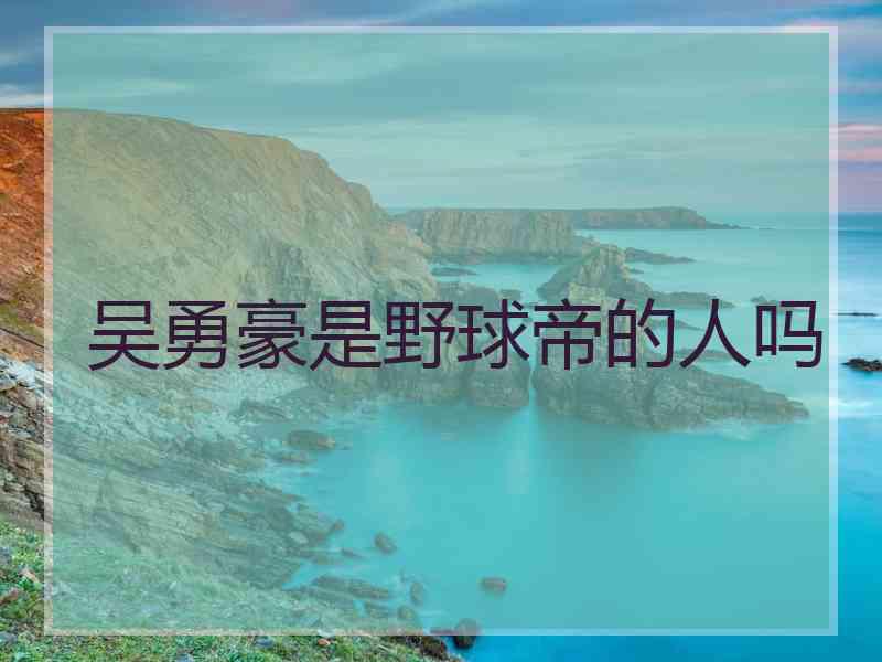 吴勇豪是野球帝的人吗