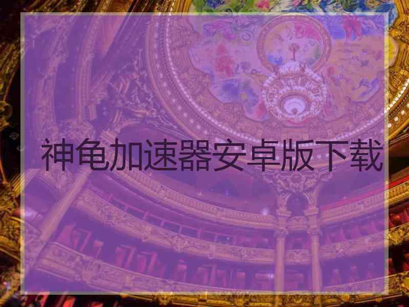 神龟加速器安卓版下载