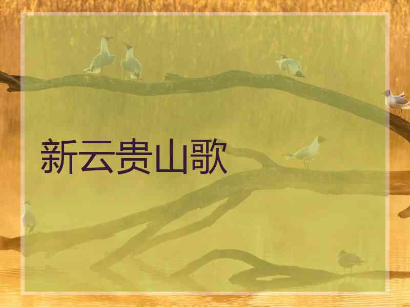新云贵山歌