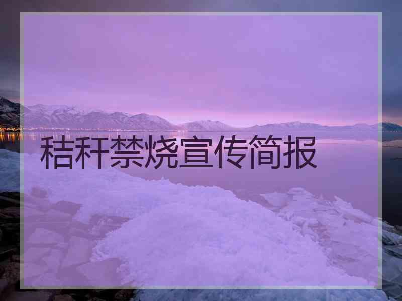 秸秆禁烧宣传简报