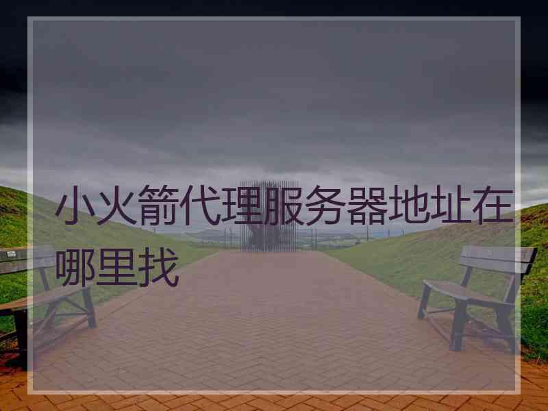 小火箭代理服务器地址在哪里找